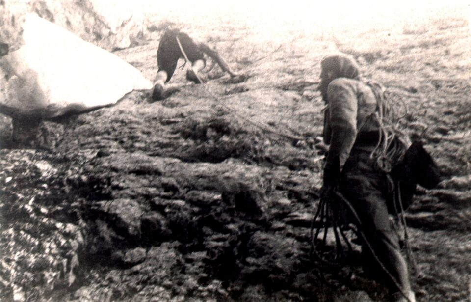 Tente Lagunilla nos habla en esta ocasión de las ascensiones que realizaron los primeros grupos de montañeros palentinos durante los años 50. Destaca la figura de Alejandro Díez Riol, pionero e inspiración para muchos aficionados, cuyas experiencias y documentos sirvieron para abrir brecha y contagiar su pasión por la montaña.